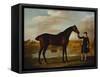 The Duke of Marlborough's-George Stubbs-Framed Stretched Canvas