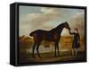 The Duke of Marlborough's-George Stubbs-Framed Stretched Canvas