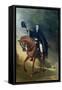 The Duke of Wellington-Thomas Lawrence-Framed Stretched Canvas