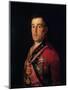 The Duke of Wellington-Francisco de Goya-Mounted Giclee Print