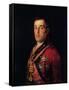 The Duke of Wellington-Francisco de Goya-Framed Stretched Canvas