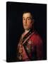 The Duke of Wellington-Francisco de Goya-Stretched Canvas