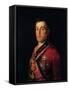 The Duke of Wellington-Francisco de Goya-Framed Stretched Canvas