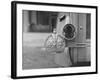 The Duke of Windsor Has No License Plate, Only a Royal Crown Emblem-David Scherman-Framed Premium Photographic Print