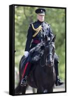 The Duke of York (Prince Andrew) in his duty as Colonel of the Grenadier Guards-Associated Newspapers-Framed Stretched Canvas