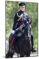 The Duke of York (Prince Andrew) in his duty as Colonel of the Grenadier Guards-Associated Newspapers-Mounted Photo