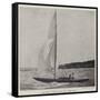 The Duke of York's Yacht, the White Rose-null-Framed Stretched Canvas