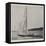 The Duke of York's Yacht, the White Rose-null-Framed Stretched Canvas