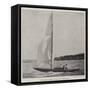 The Duke of York's Yacht, the White Rose-null-Framed Stretched Canvas