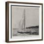 The Duke of York's Yacht, the White Rose-null-Framed Giclee Print