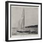 The Duke of York's Yacht, the White Rose-null-Framed Giclee Print