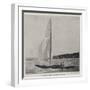 The Duke of York's Yacht, the White Rose-null-Framed Giclee Print