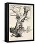 The Duke's Oak, Illustration from 'Midsummer Nights Dream' by William Shakespeare, 1908 (Litho)-Arthur Rackham-Framed Stretched Canvas