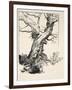 The Duke's Oak, Illustration from 'Midsummer Nights Dream' by William Shakespeare, 1908 (Litho)-Arthur Rackham-Framed Giclee Print