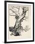 The Duke's Oak, Illustration from 'Midsummer Nights Dream' by William Shakespeare, 1908 (Litho)-Arthur Rackham-Framed Giclee Print