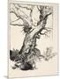 The Duke's Oak, Illustration from 'Midsummer Nights Dream' by William Shakespeare, 1908 (Litho)-Arthur Rackham-Mounted Giclee Print