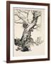 The Duke's Oak, Illustration from 'Midsummer Nights Dream' by William Shakespeare, 1908 (Litho)-Arthur Rackham-Framed Giclee Print