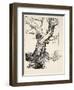 The Duke's Oak, Illustration from 'Midsummer Nights Dream' by William Shakespeare, 1908 (Litho)-Arthur Rackham-Framed Giclee Print