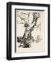 The Duke's Oak, Illustration from 'Midsummer Nights Dream' by William Shakespeare, 1908 (Litho)-Arthur Rackham-Framed Giclee Print