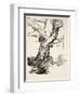 The Duke's Oak, Illustration from 'Midsummer Nights Dream' by William Shakespeare, 1908 (Litho)-Arthur Rackham-Framed Giclee Print