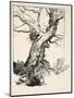 The Duke's Oak, Illustration from 'Midsummer Nights Dream' by William Shakespeare, 1908 (Litho)-Arthur Rackham-Mounted Giclee Print