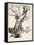 The Duke's Oak, Illustration from 'Midsummer Nights Dream' by William Shakespeare, 1908 (Litho)-Arthur Rackham-Framed Stretched Canvas