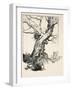 The Duke's Oak, Illustration from 'Midsummer Nights Dream' by William Shakespeare, 1908 (Litho)-Arthur Rackham-Framed Giclee Print