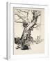 The Duke's Oak, Illustration from 'Midsummer Nights Dream' by William Shakespeare, 1908 (Litho)-Arthur Rackham-Framed Giclee Print