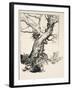 The Duke's Oak, Illustration from 'Midsummer Nights Dream' by William Shakespeare, 1908 (Litho)-Arthur Rackham-Framed Giclee Print