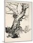 The Duke's Oak, Illustration from 'Midsummer Nights Dream' by William Shakespeare, 1908 (Litho)-Arthur Rackham-Mounted Giclee Print