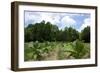 The Duke's of Durham, NC Tobacco Historial Site-Gary Carter-Framed Photographic Print