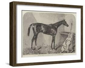 The Duke, Winner of the Goodwood and Brighton Cups-Harry Hall-Framed Giclee Print