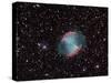 The Dumbbell Nebula-Stocktrek Images-Stretched Canvas