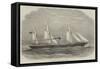 The Dundee Screw-Steamship Hibernia-Edwin Weedon-Framed Stretched Canvas