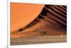 The Dune and the Tree-Luigi Ruoppolo-Framed Photographic Print