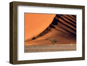 The Dune and the Tree-Luigi Ruoppolo-Framed Photographic Print