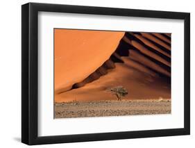 The Dune and the Tree-Luigi Ruoppolo-Framed Photographic Print