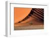 The Dune and the Tree-Luigi Ruoppolo-Framed Photographic Print