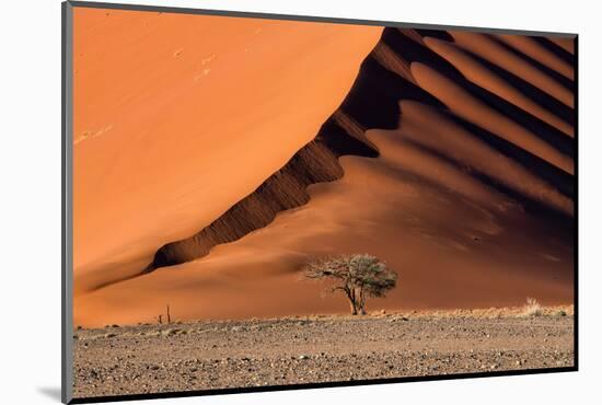 The Dune and the Tree-Luigi Ruoppolo-Mounted Photographic Print