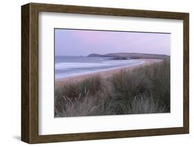 The dunes and beach at Constantine Bay, Cornwall, England, United Kingdom, Europe-Jon Gibbs-Framed Photographic Print