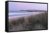 The dunes and beach at Constantine Bay, Cornwall, England, United Kingdom, Europe-Jon Gibbs-Framed Stretched Canvas