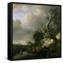 The Dunes Near Haarlem-Jacob Isaaksz. Or Isaacksz. Van Ruisdael-Framed Stretched Canvas