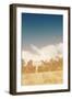 The Dunes-Susan Bryant-Framed Photographic Print