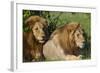 The Duo-Susann Parker-Framed Photographic Print