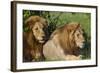 The Duo-Susann Parker-Framed Photographic Print