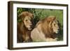 The Duo-Susann Parker-Framed Photographic Print