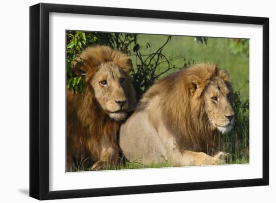 The Duo-Susann Parker-Framed Photographic Print