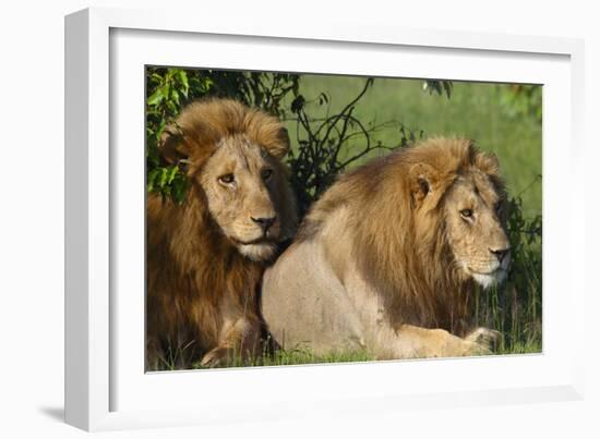 The Duo-Susann Parker-Framed Photographic Print