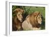 The Duo-Susann Parker-Framed Photographic Print