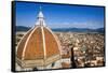 The Duomo dome and rooftops from Giotto's Bell Tower, Florence, Tuscany, Italy-Russ Bishop-Framed Stretched Canvas